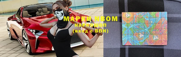 шишки Ладушкин